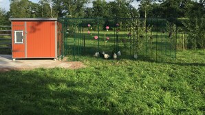 A small, orange utility building with a metal door and a window, surrounded by a green fence with pink flowers. - Assisihof - Apartment zur Linde (Friedeburg)