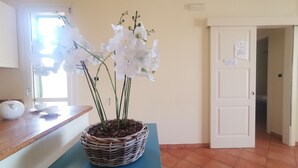 A room with a wicker basket containing white orchids on a blue table, a white door with a notice, and a window with blinds. - Villetta Sole (Gallipoli)