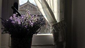 A window with a view of a building, a potted plant, and a curtain. - PRETTY AND VERY CENTRAL ATTIC ONE STEP FROM THE SEA (Varazze)