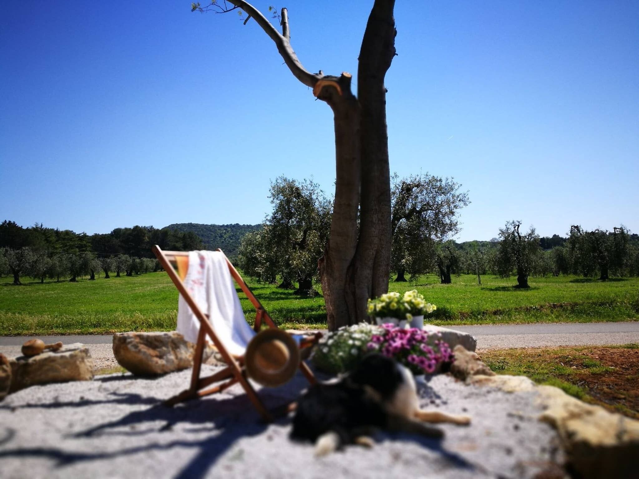 复式房, 2 间卧室, 吸烟房, 阳台 | 住宿场地