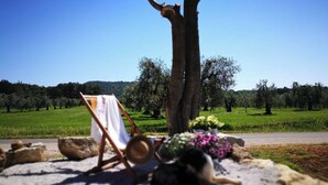 Unclassified image, 5 of 53, button - On Holiday Between Sky And Sea Geco Di C (Campiglia Marittima)