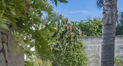 Apartment With Pool And Panoramic Terrace