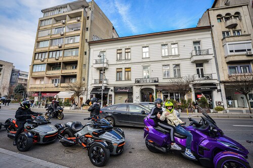Tres Chic Studio Elegant Retreat on Calea Victoriei City Center