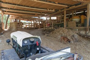 Property grounds - Podere Caldaruccio La Pineta - Bungalow (Perugia)