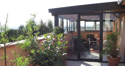 A Relaxing Holiday, Even With Your Four-legged Friends