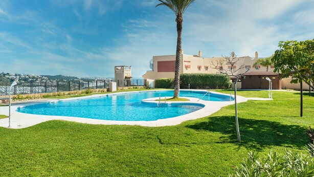 Ein Swimmingpool im Vordergrund, mit einer Palme, umgeben von gepflegtem Rasen und einem Gebäude im Hintergrund.