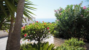 A coastal view with a building, a palm tree, and flowering bushes. - Sea Front Apartment 5 Beds With Balcony 250 Meters From the Beach (Sciacca)