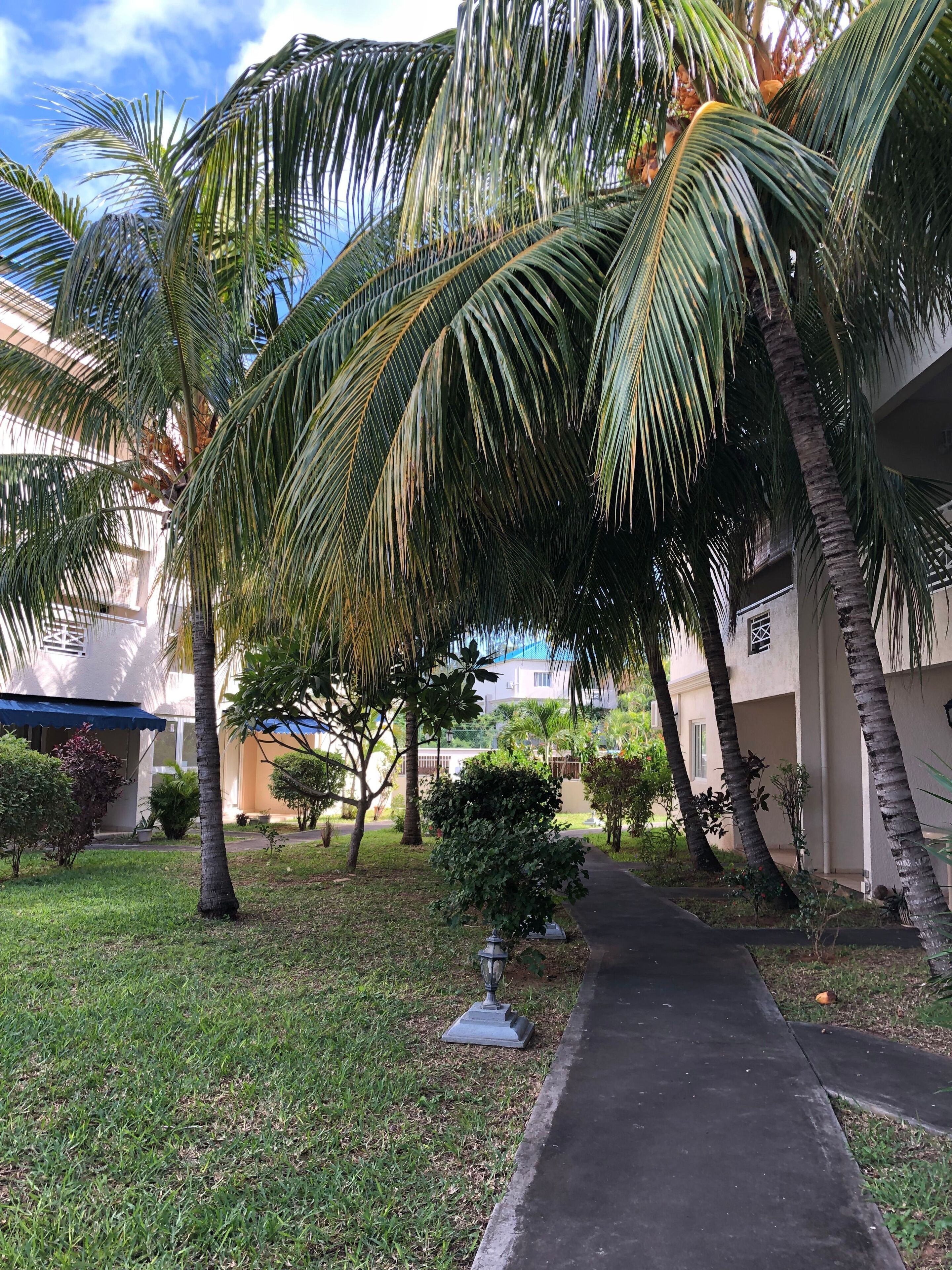 Apartment, 2 Bedrooms, Accessible, Smoking | Garden