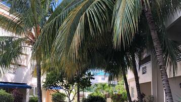 Apartment, 2 Bedrooms, Accessible, Smoking | Garden