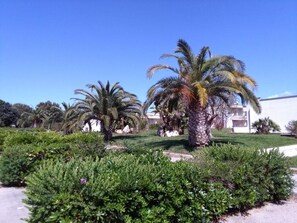 Apartment, 1 Schlafzimmer, barrierefrei, Raucher | Unterkunftsgelände