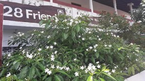 Villa, Multiple Bedrooms | Exterior - Villa Five Five With sea View - the Best of Sri Lanka (Galle)