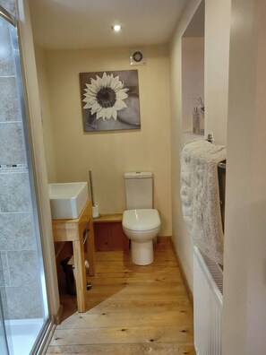 Maison, 4 chambres, foyer, vue sur le jardin | Salle de bain | Ensemble baignoire-douche, serviettes fournies