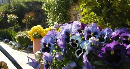 Adorable Tuscan Cottage With Beautiful Garden Just Outside Lucca, Sleeps 2