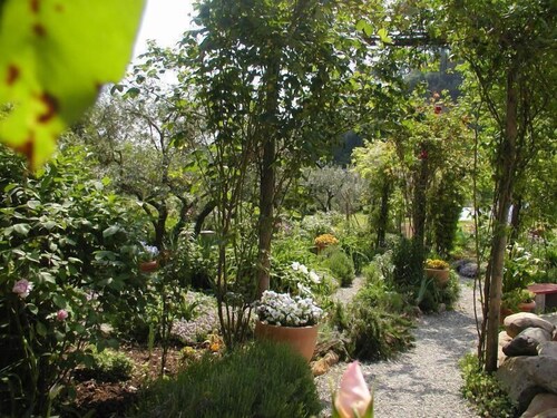 Adorable Tuscan Cottage With Beautiful Garden Just Outside Lucca, Sleeps 2