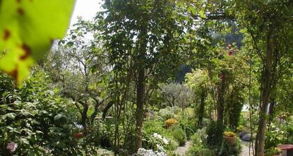 Adorable Tuscan Cottage With Beautiful Garden Just Outside Lucca, Sleeps 2