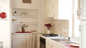A compact kitchen with white cabinets, a stove, and a sink. There is a colorful rug on the floor and a potted plant on the counter. - Perugia Antica Sunny apartment (Perugia)