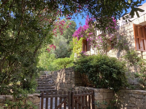 Domus Olivarum -costa Smeralda Villetta 7 Persone, 4 PK, Wifi, Grande Giardino