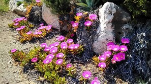 Ferienhaus, 2 Schlafzimmer, Raucher, eigener Pool | Außenbereich