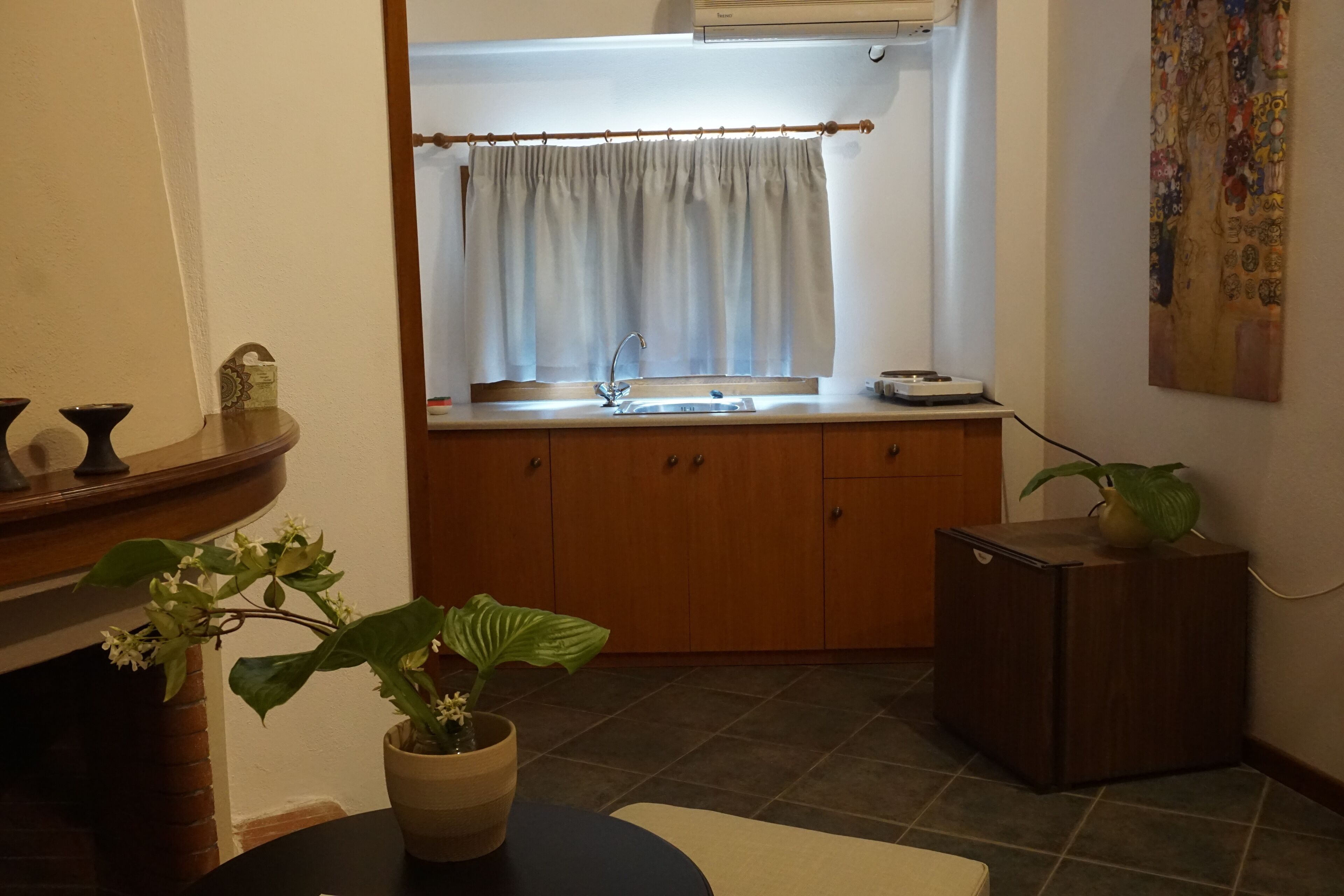 A kitchen with a sink, cabinets, a potted plant, and a small refrigerator.