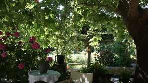 A wooden chair under a tree with potted plants and flowers.