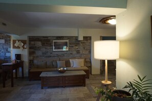 TV, fireplace, books