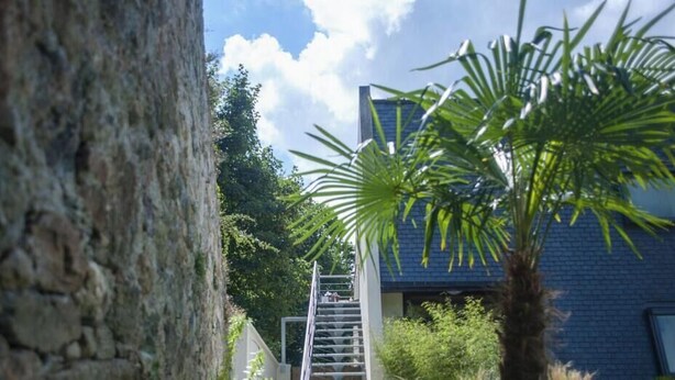 A staircase leading to a modern building with a brick facade, surrounded by greenery and a palm tree. - Gîte Cosy et Calme, Avec spa et Jardin, au Cœur de Morlaix (Morlaix)
