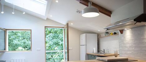 Frigorífico, microondas, horno y placa de cocina