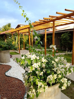 Terraço/pátio