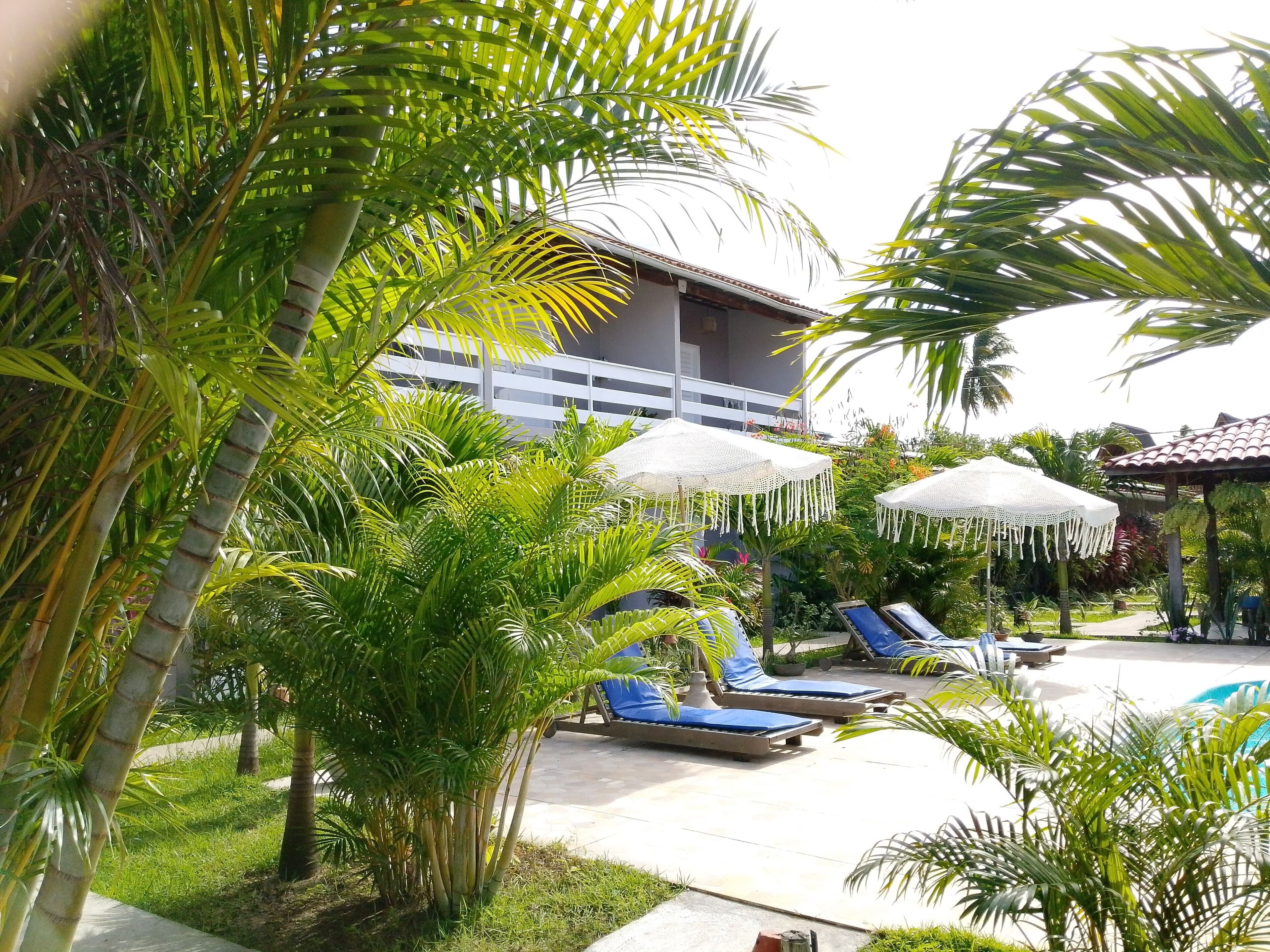 A pool area with lounge chairs and umbrellas, surrounded by palm trees and a building with a tiled roof.