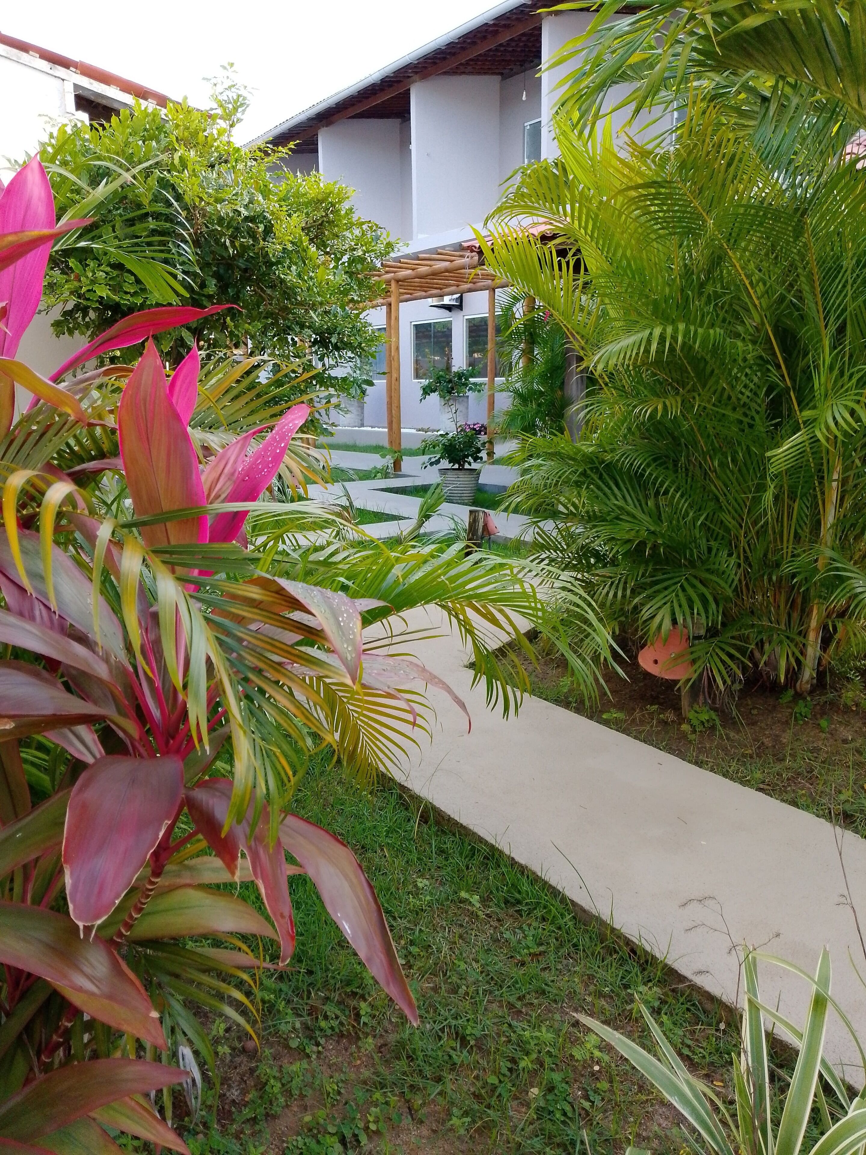 Un jardín con un sendero de hormigón, diversas plantas verdes y un edificio con columnas al fondo.
