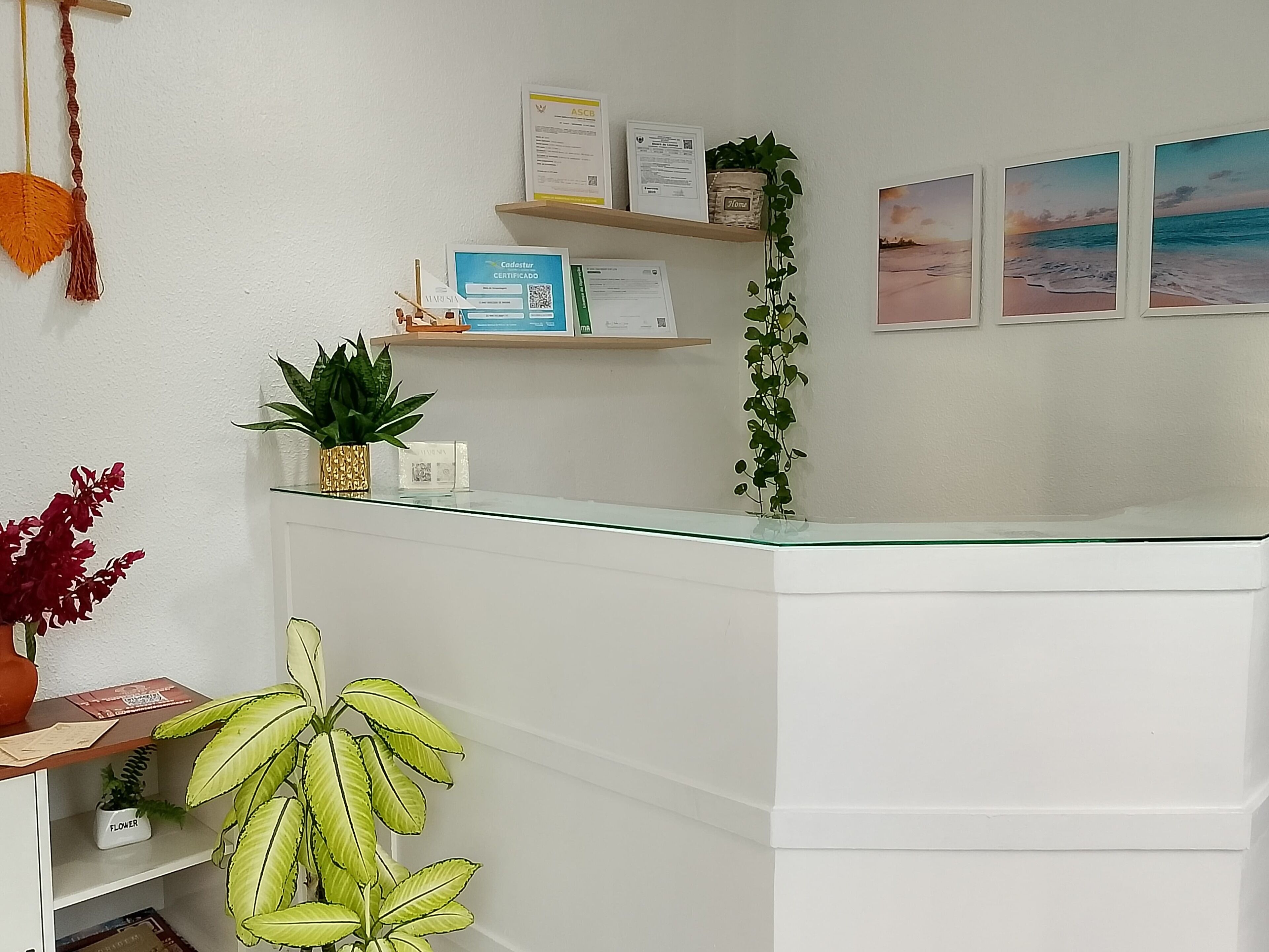 A reception desk with a glass top, a small plant, and a framed certificate on the wall.