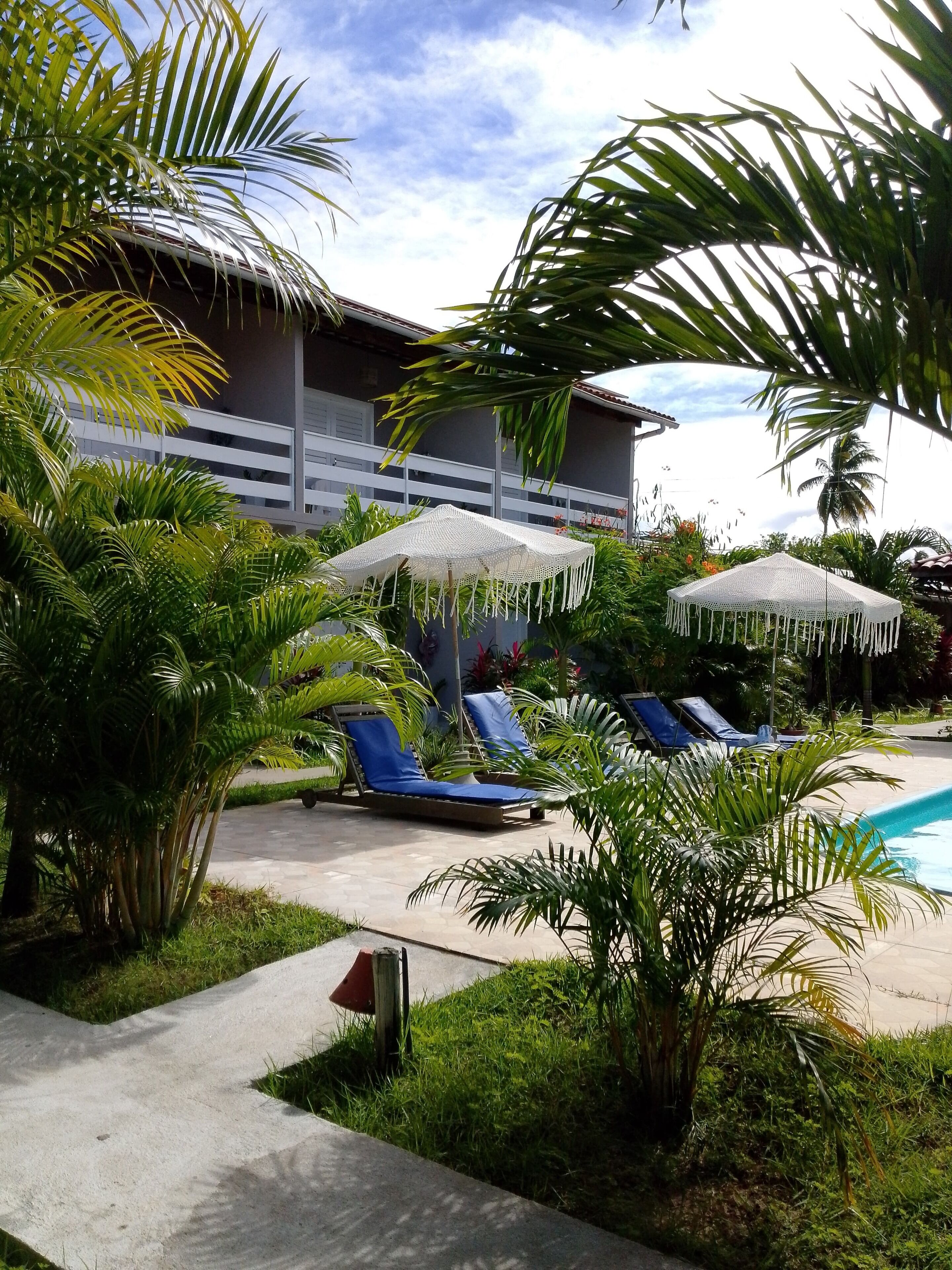 Un espace piscine doté de chaises longues et de parasols, entouré de palmiers et bordé d’un bâtiment avec un balcon.