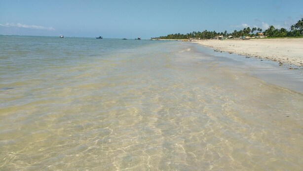 A beach with clear shallow waters, a sandy shore, and a line of palm trees in the background. - Pousada Maresia (São Miguel dos Milagres)