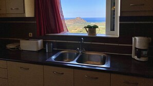 Une cuisine équipée d’un évier, d’une fenêtre donnant sur le paysage et d’une plante en pot posée sur le rebord de la fenêtre.