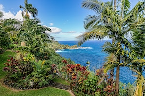 Un jardin tropical offrant une vue sur l’océan.