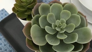 아파트, 침실 1개, 정원 전망 | 다이닝