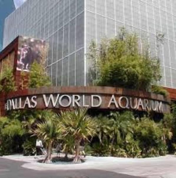 Experience the Dallas World Aquarium's striking glass facade and beautifully maintained grounds.