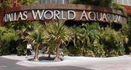 Heated Pool and Hottub Car rental available too