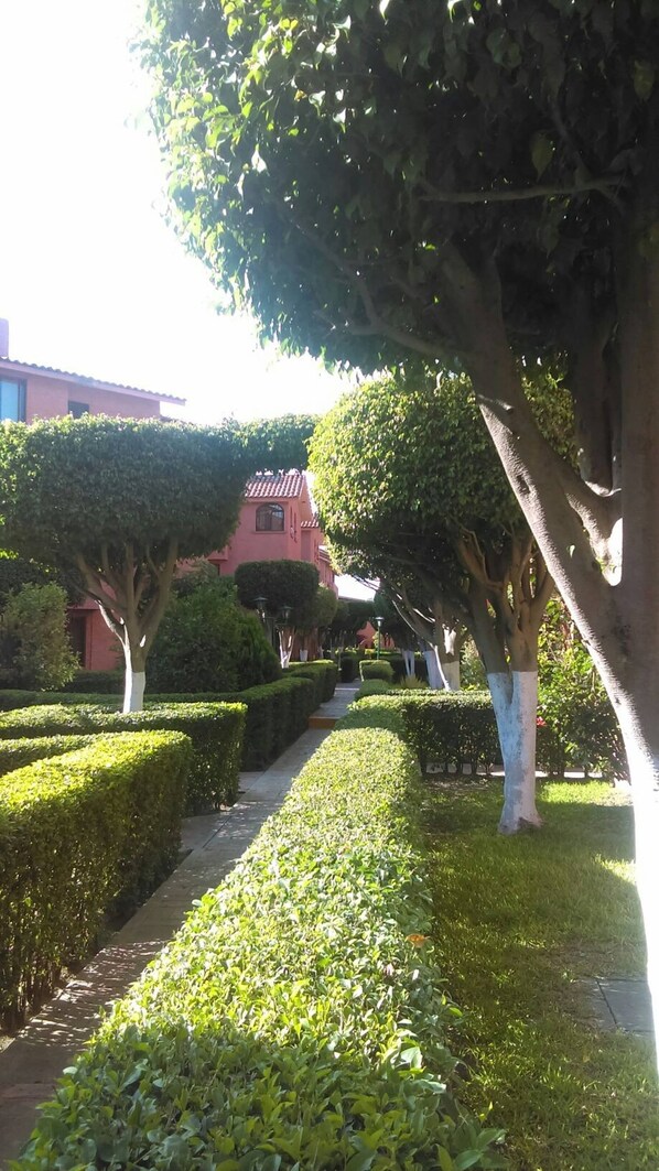 Apartment, 3 Bedrooms, Smoking, Balcony | Exterior - Departamento Comodo, Centrico, Estacionamiento (Querétaro)