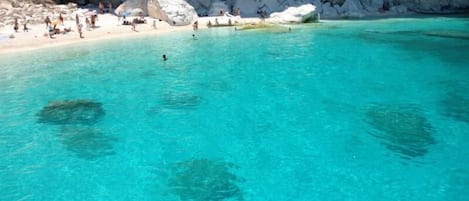 Appartamento, 2 camere da letto, fumatori, terrazzo | Spiaggia