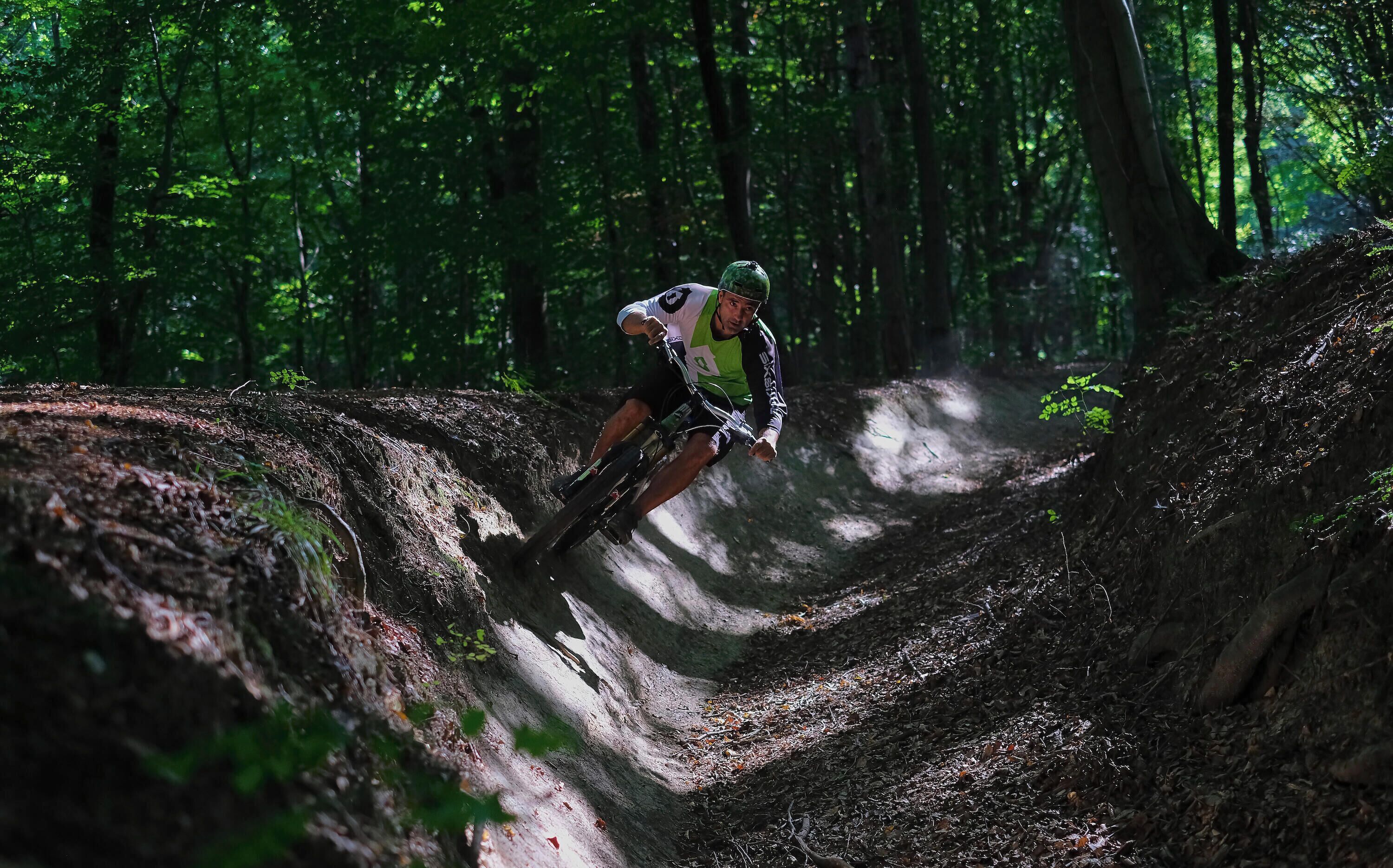 A mountain biker navigating a forest trail.