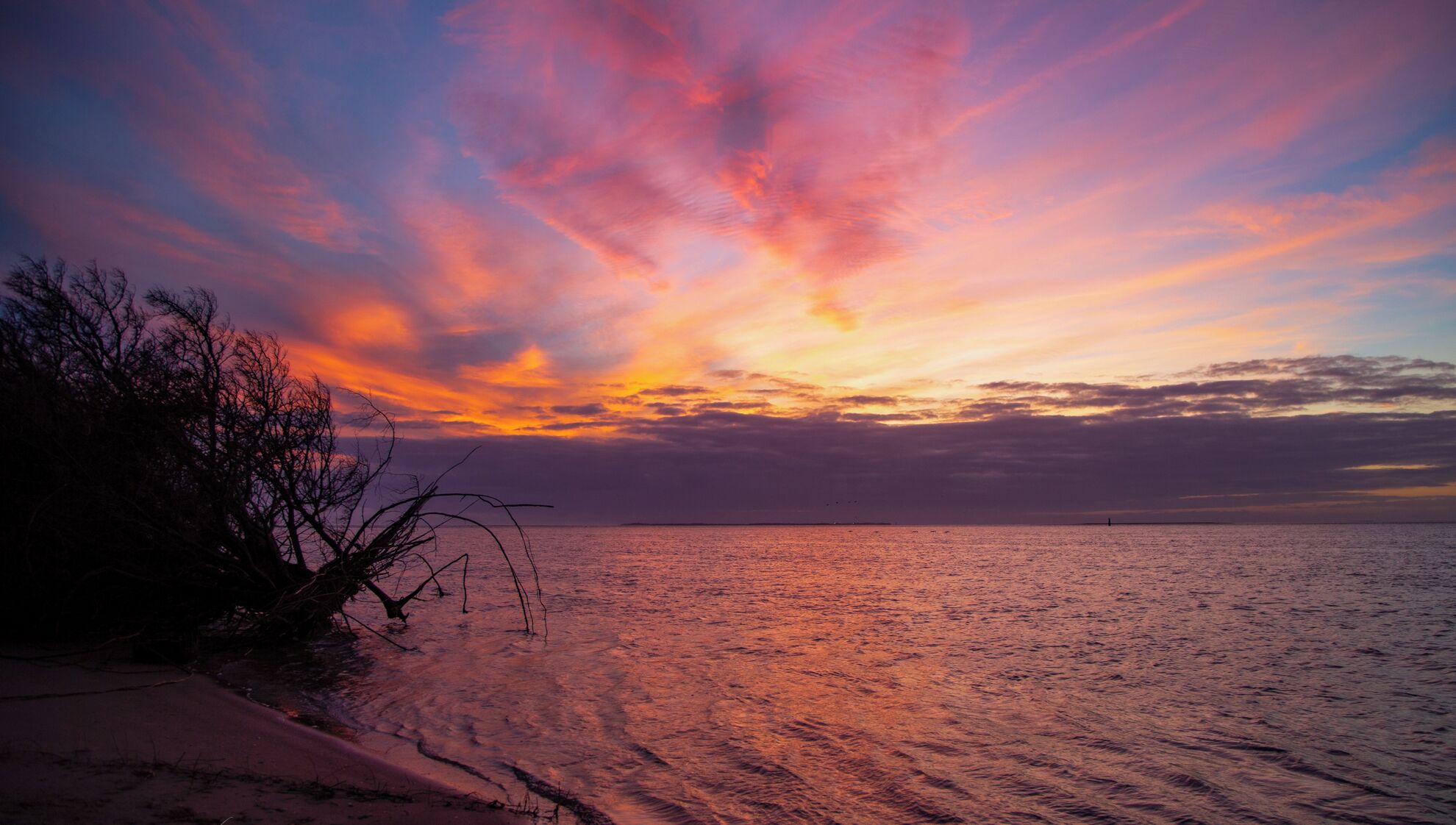 A beach with a sunset, calm water, and silhouettes of trees.