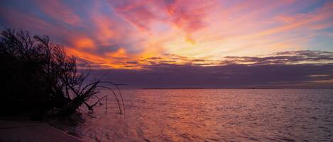 A beach with a sunset, calm water, and silhouettes of trees.
