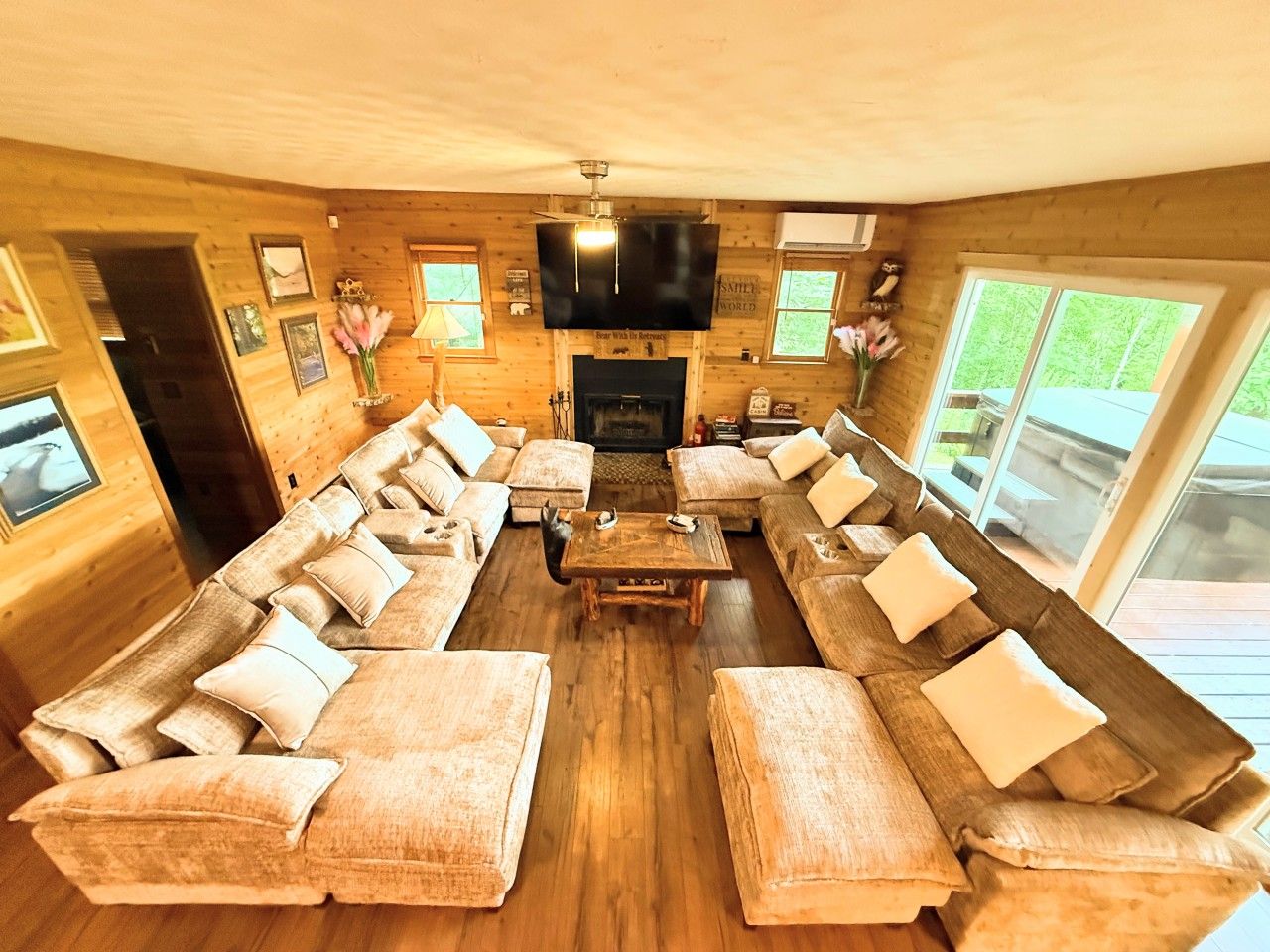 TV, fireplace