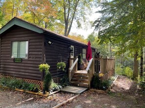 A cabin with a wooden exterior, a set of stairs leading to a deck, and a small garden area with plants and a hanging planter.