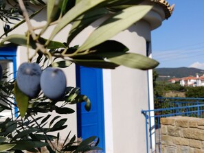 Vila, 3 quartos, sacada, vista para o jardim | Área da propriedade