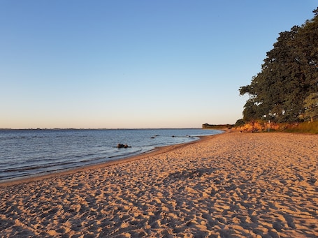 Beach nearby. Modern thatched house close to the beach between Boltenhagen and Wismar; with sauna and fireplace.