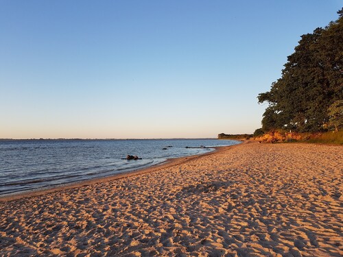 Strandnahes modernes Reetdachhaus zwischen Boltenhagen und Wismar; mit Sauna und Kamin.