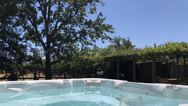 Tinaco con un vaso de vino blanco, rodeado de árboles y una pérgola de madera.