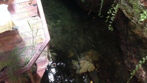 A wooden deck overlooking a rocky stream with clear water, surrounded by lush greenery and trees. - One Bedroom Apt In The Heart Of Playa Only One Block to the Beach! (Playa del Carmen)